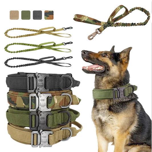Taktiskt Hundhalsband & Koppel – Justerbart Militär-Nylon