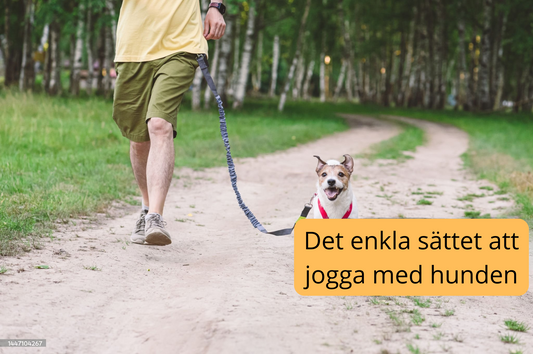 Handsfree Hundkoppel – Multifunktionellt & Justerbart för Aktiva Promenader